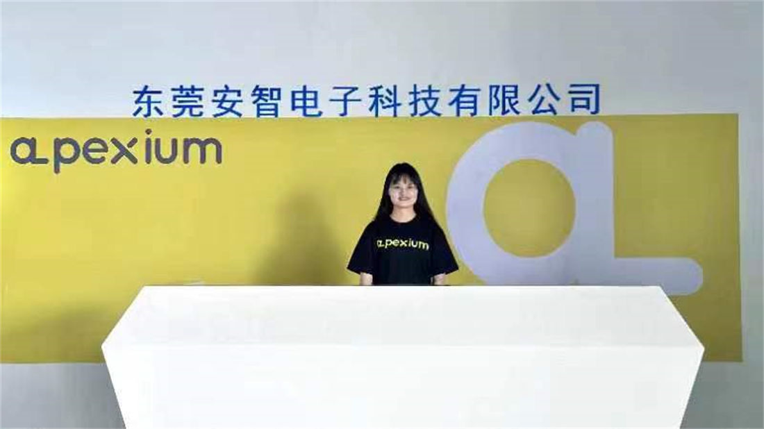 Dongguan Anzhi Electronic Technology Co., Ltd. Lithium Iron Phosphate Battery