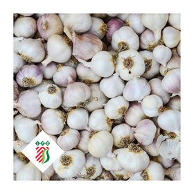 Fresh garlic from China normal white pure white for wholesale private label 50mm 55mm 60mm - 1kg mesh bags best quality