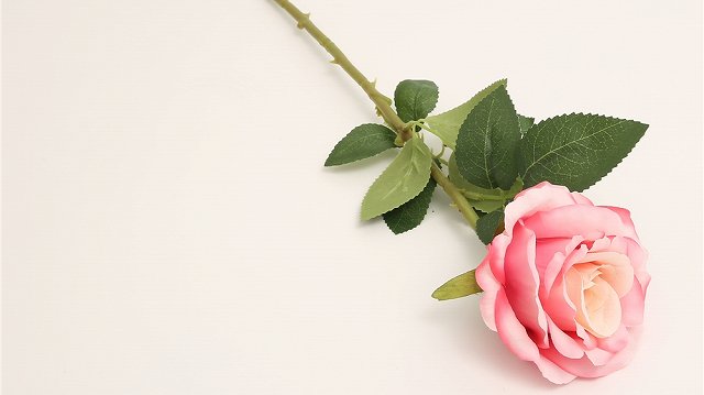 Yiwu Season Import And Export Co., Ltd Artificial flowers