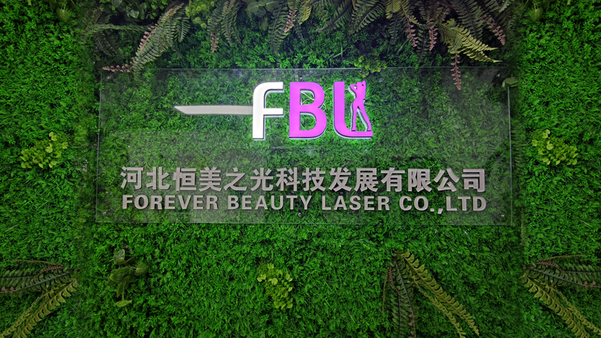 Hebei Forever Beauty Laser Technology Development Co., Ltd. 4D HIFU machine