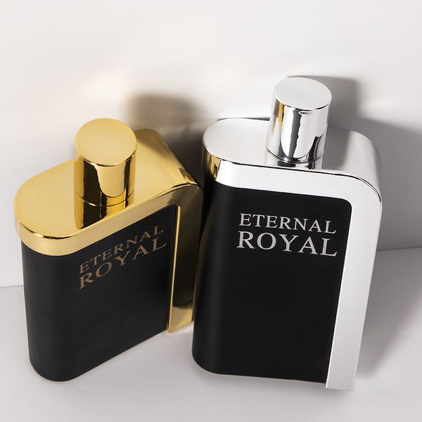100ML perfumes original wholesale luxury Long lasting fragrance Woody cologne for men's perfume