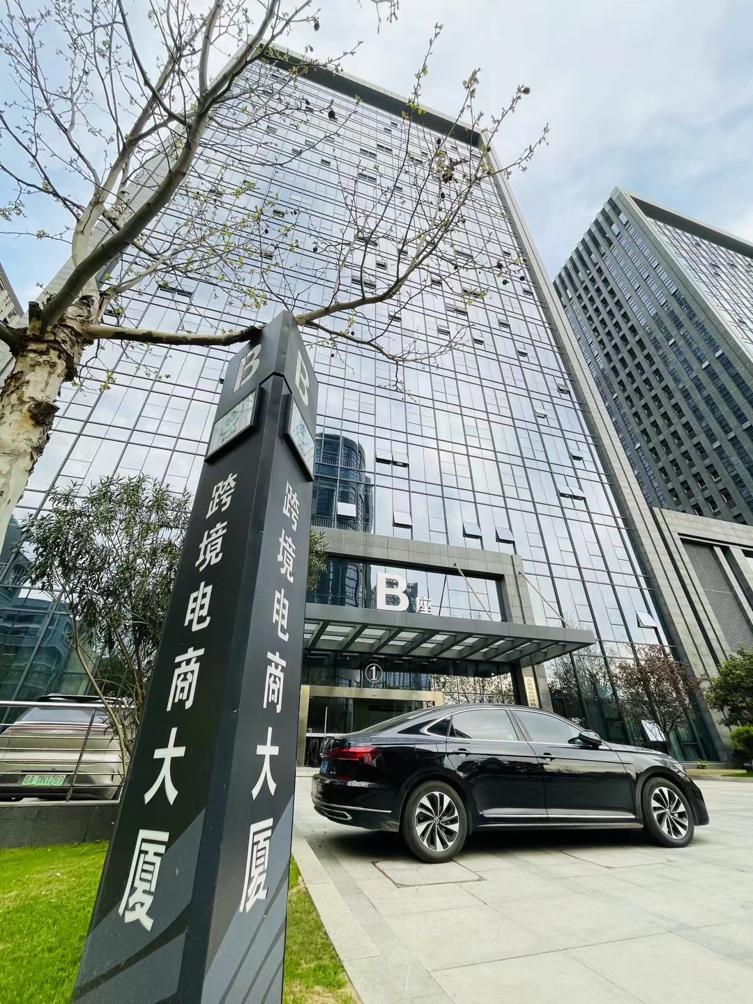 Chengdu Igoods Technology Co., Ltd. Bamboo Charcoal Wood Veneer