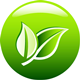 Company icon