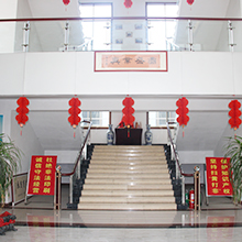 Linyi Guosheng Color Printing & Packing Co., Ltd. factory image 2