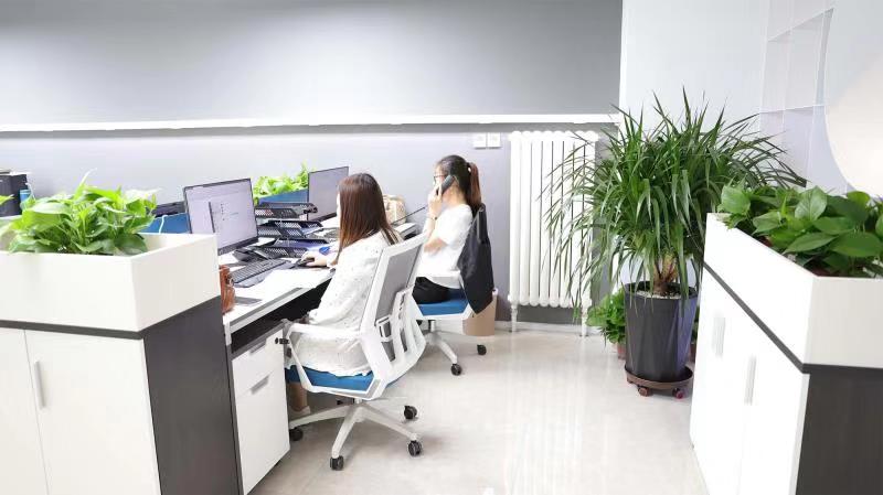 Harbin Baizheng Household Co., Ltd. Wallpaper rolls