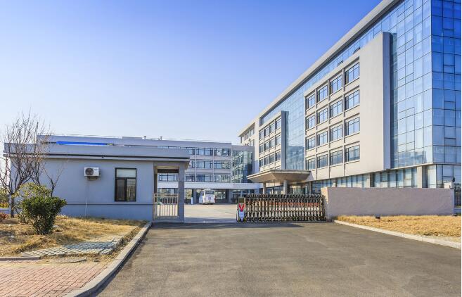 Shenzhen E-Store Elec-Tech Co., Ltd. Energy Pendant