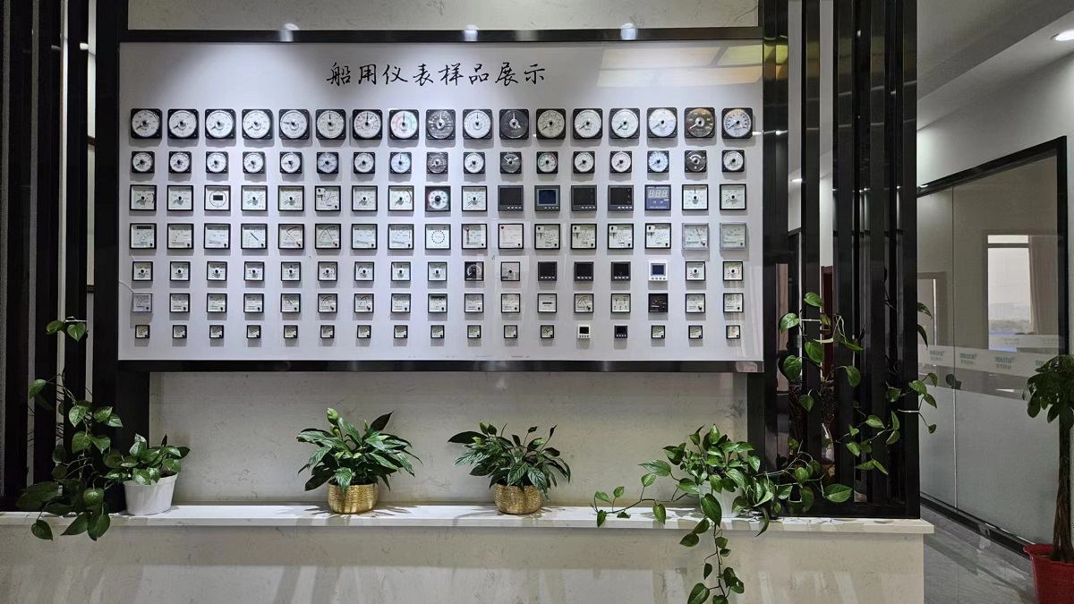 Wei Dian Union (hubei) Technology Co., Ltd. Analog Marine Meters