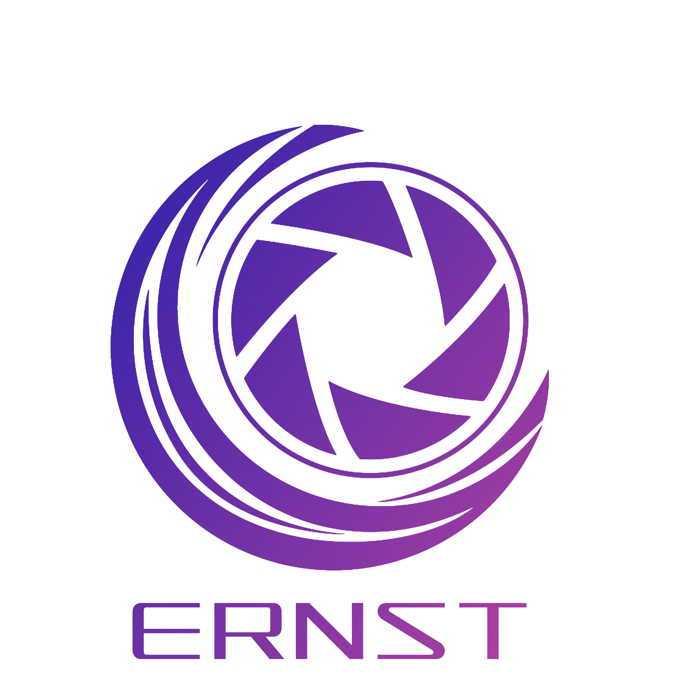Henan Ernst Smart Technology Co., Ltd. logo