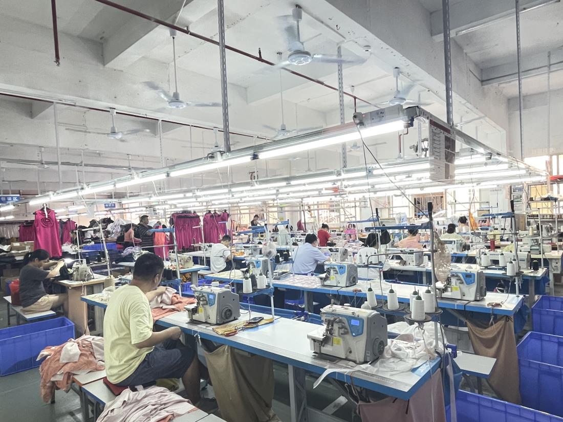 Dongguan City Zippy Clothing Co., Ltd. Women Dress