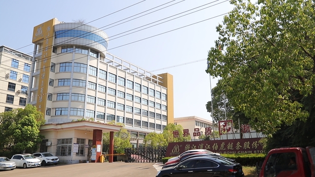 Zhejiang Pujiang Bohu Chain Stock Co., Ltd. Snow Chains