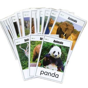 Customized 4c Imprint Paper Playing Cards 36 Animal Educational Flash Cards for Toddlers flash cards for kids educational