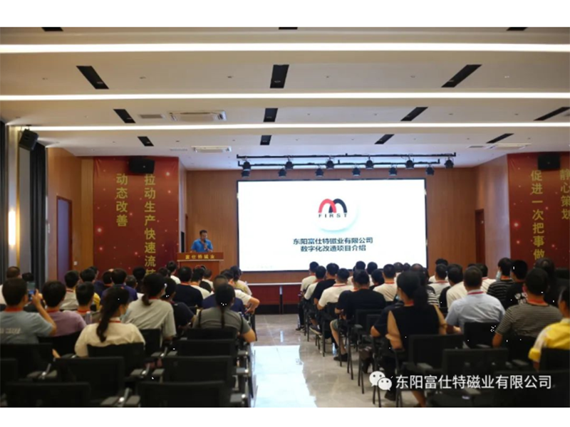 Dongyang First Magnetics Co., Ltd. Permanent Magnets