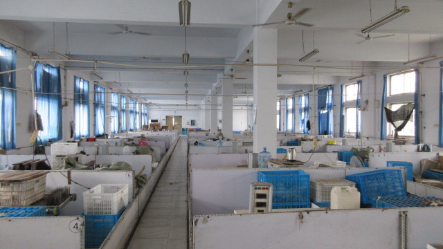 Xuchang Bingyang Industrial Co., Ltd. Human Hair Extension