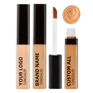 Hot selling  liquid concealer raw material 100kg OEM&ODM Waterproof concealer cream custom color&logo cosmetics