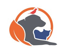 Company icon