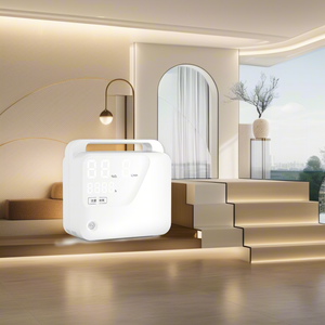 Hot Sale Medical Portable Oxygen Generator 1Liter Oxygen-concentrator 1-9l/min Factory Made Fast Delivery