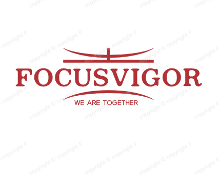 Huaian Vigor Trade Co., Ltd. logo