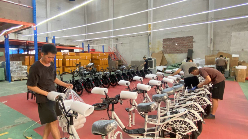Guangzhou Ziqiang Houde Trading Co., Ltd. Electric Bicycle
