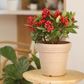 High-End Plastic Outdoor Plant Large Nordic Planter Eco Friendly Artificial Potted Big Garden Pots For Wave Flowers