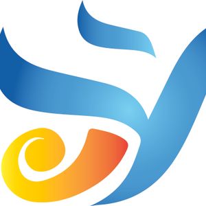 Company icon