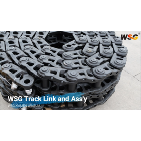 WSG Best Price Excavator Undercarriage Spare Parts Track Train Track Link Heavy Equipment