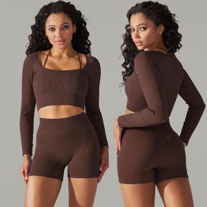 Seamless Ribbed Activewear Sets for Women High Quality Two Piece Yoga Set Long Sleeve Shorts Set