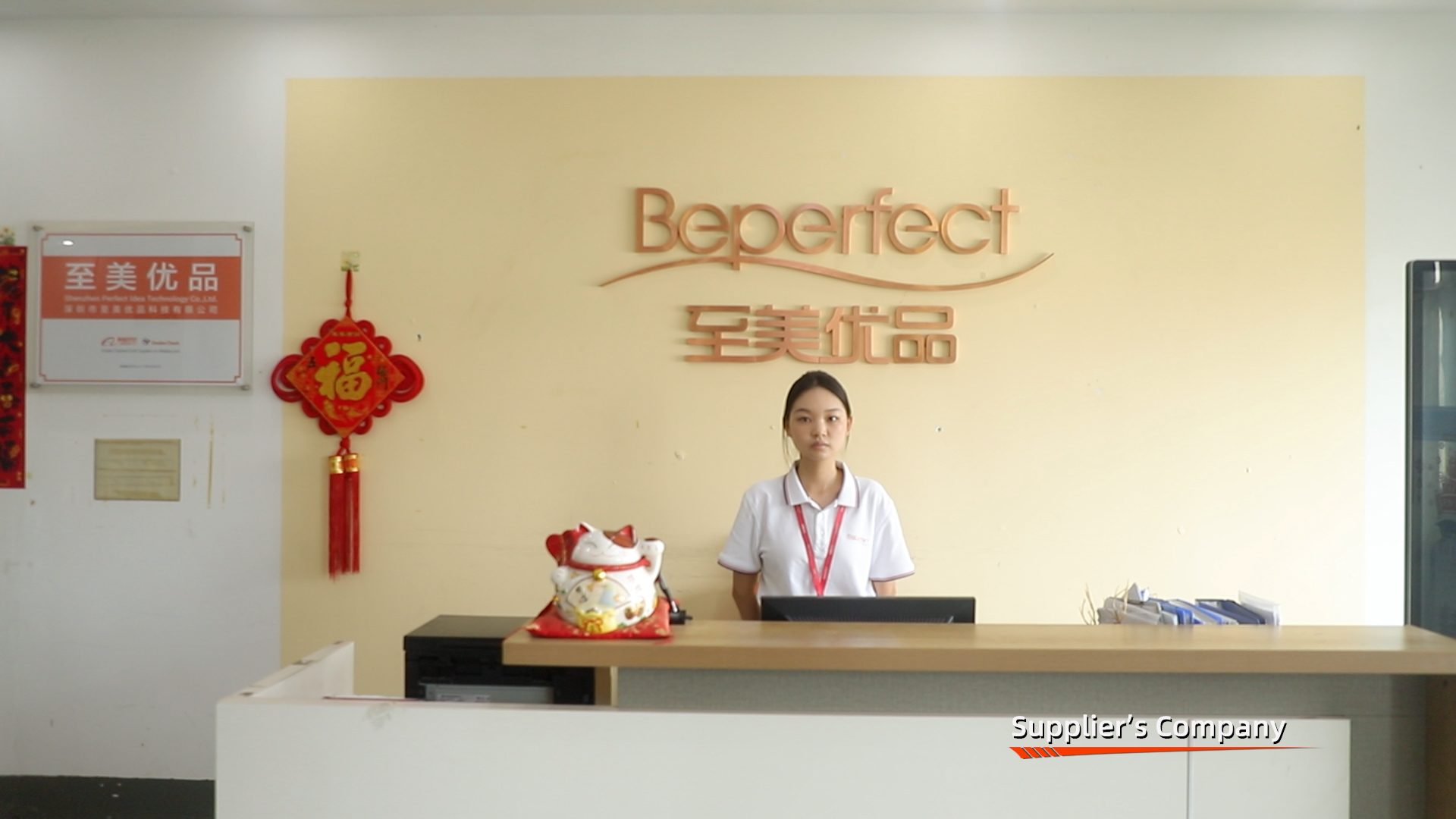 Shenzhen Perfect Idea Tech. Co., Ltd. factory image 1