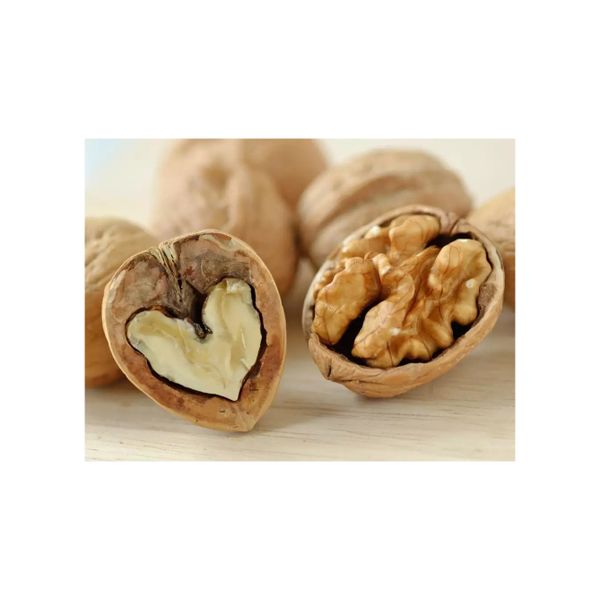 Premium Quality Wholesale Walnuts For Sale In Cheap Price Best Grade Organic Raw Walnut And Walnut Kernel Low Price