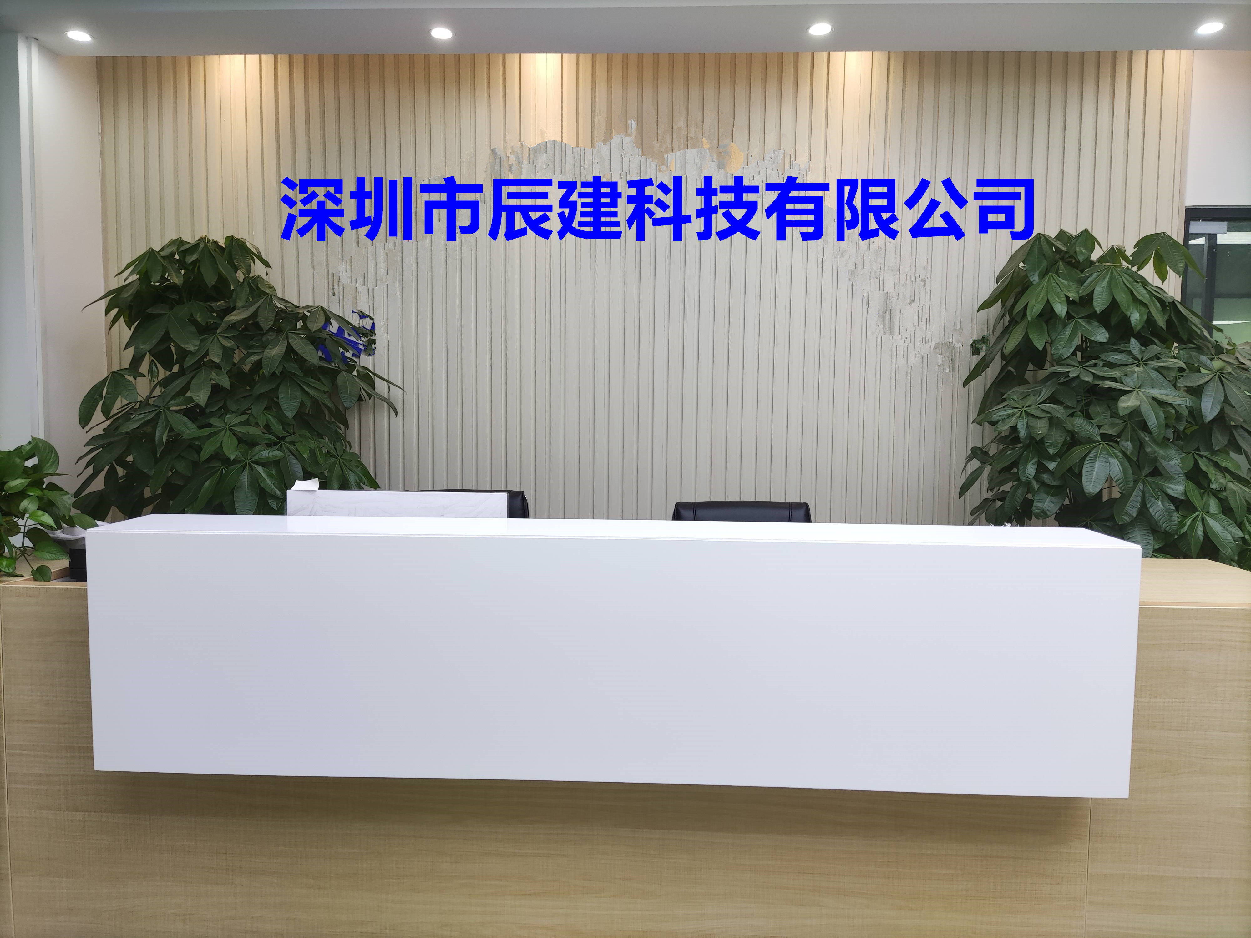 Shenzhen Chenjian Technology Co., Ltd. Auto Key Programmer