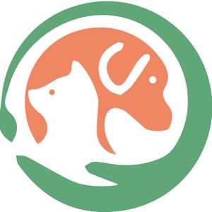 Company icon