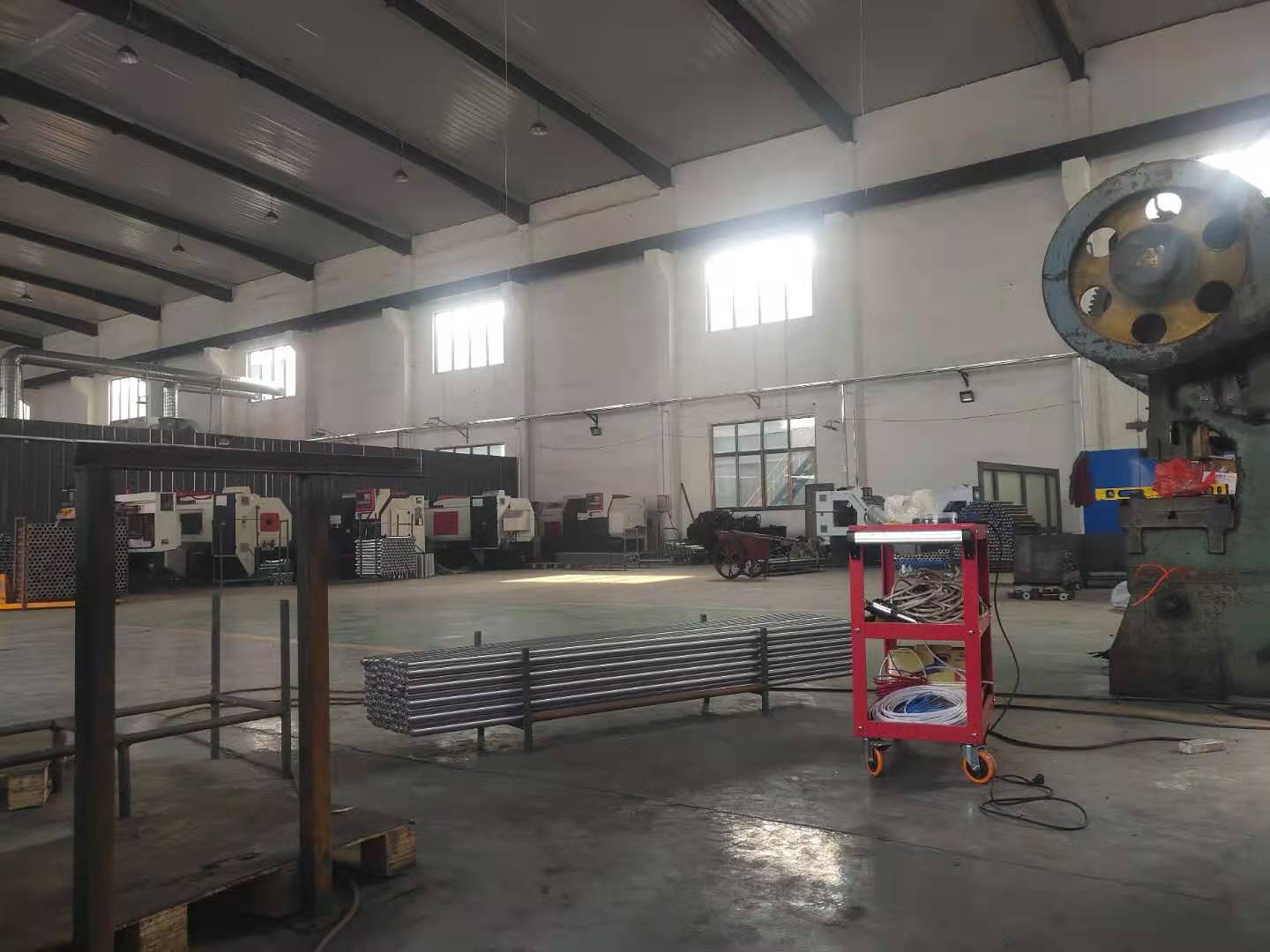 Dingzhou Kangzheng Import And Export Trade Co., Ltd. Dumbbells