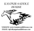 Kanpur Saddle logo