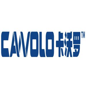 Company icon