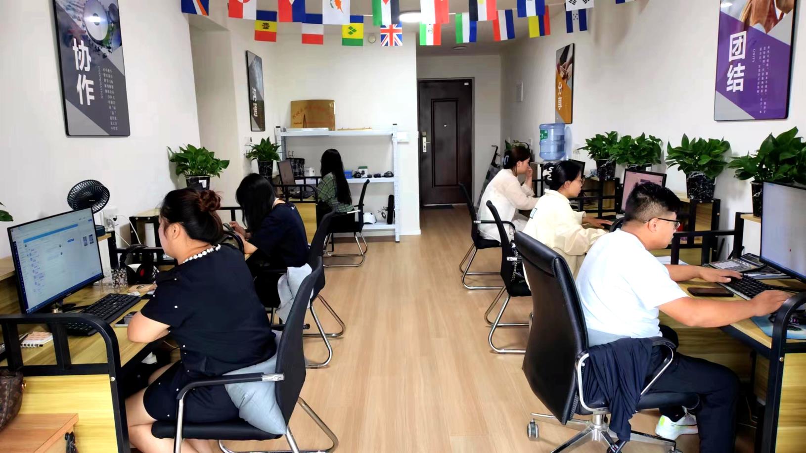 Hebei Leshuai Cycle Co., Ltd. Electric Tricycle