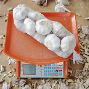 Hot Sale China Fresh White Garlic Price 1kg Garlic For Sale Benin Togo