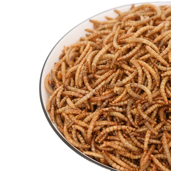 Non GMO Natural Yellow Mealworms Dried Mealworms Wild Birds Hamster Retile Pet Food Factory Dry Mealworms