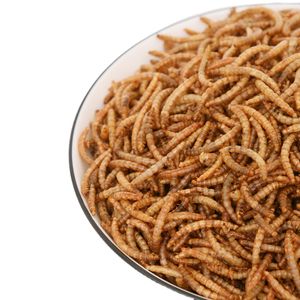 Non GMO Natural Yellow Mealworms Dried Mealworms Wild Birds Hamster Retile Pet Food Factory Dry Mealworms