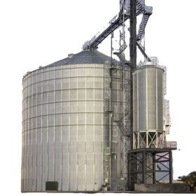 Grain silos for paddy rice / corn / wheat / sorghum storage for sale with turn-key solution