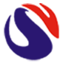 Shenzhen Hisent Vision Technology Co., Ltd logo