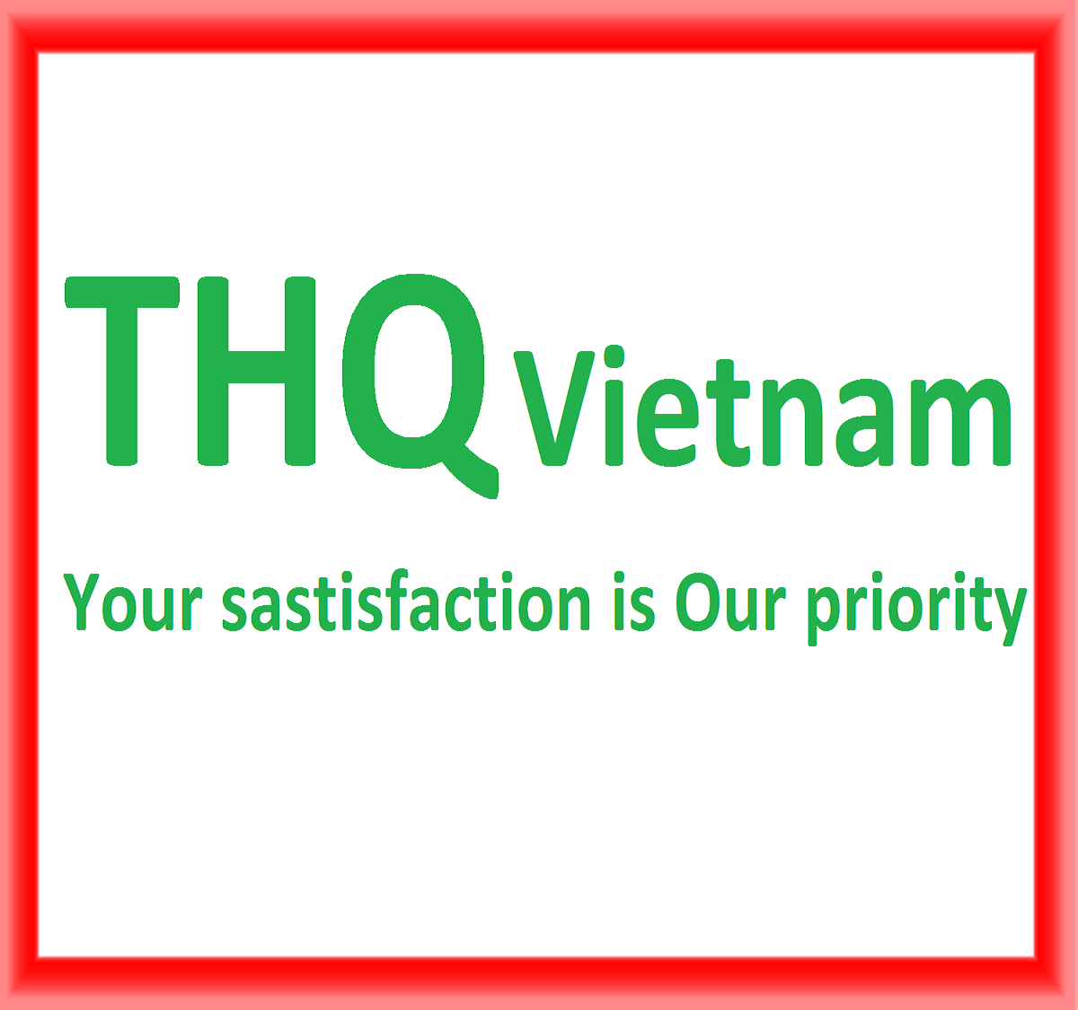 THQ Vietnam Co., Ltd logo