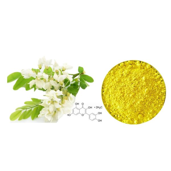 Bulk Sale Sophora Japonica Extract Granule Quercetin Dihydrate Granular UV 98% HPLC 95%