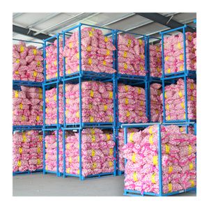 Good price 5cm fresh white garlic wholesale with GLOBAL GAP&ISO9001 hot sale high quality 2024 new normal white garlic export