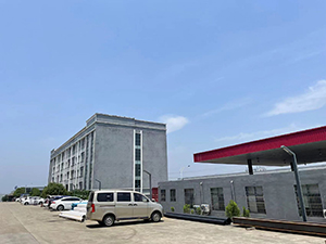Danyang E-Shuo International Trading Co., Ltd. Ceiling Light