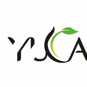 Company icon