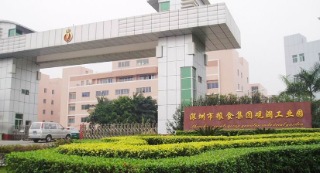 Shenzhen Badasheng Electronic Co., Ltd. Gaming Headsets