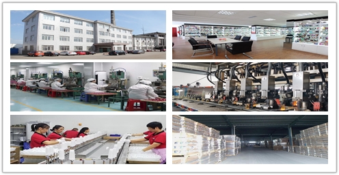 Xingtai Shunxin Technology Co., Ltd. factory image 1