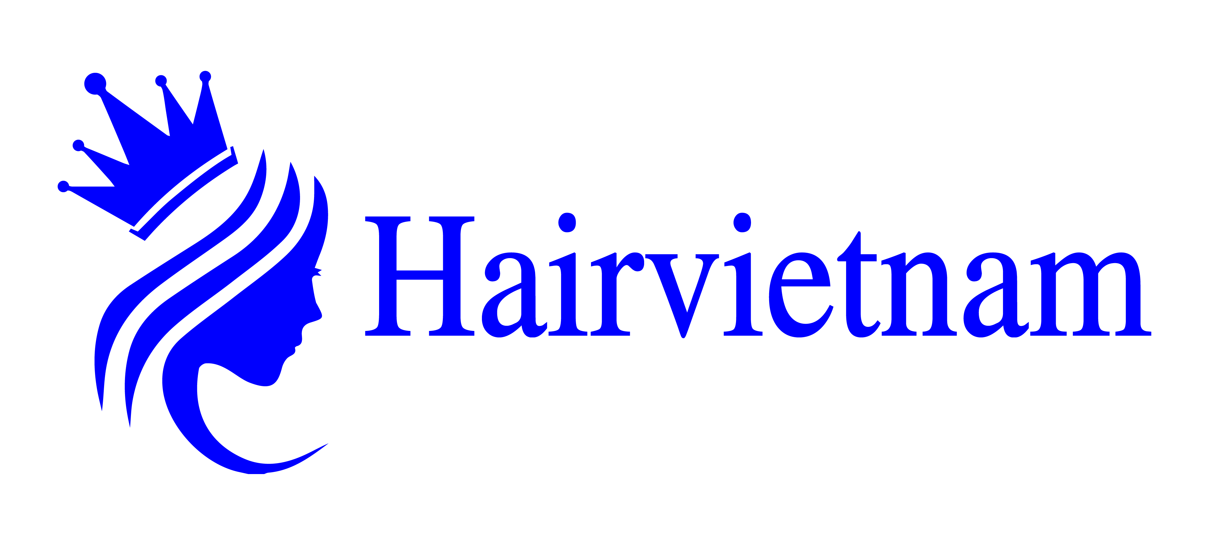 HAIRVIETNAM CO.,LTD logo