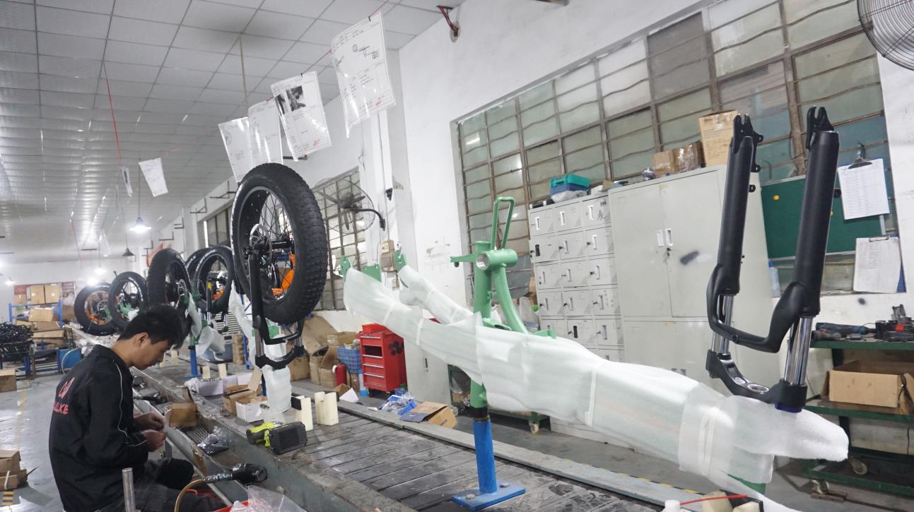 Shenzhen Wallke Electric Vehicle Technology Co., Ltd. Fat Tire E-Bikes