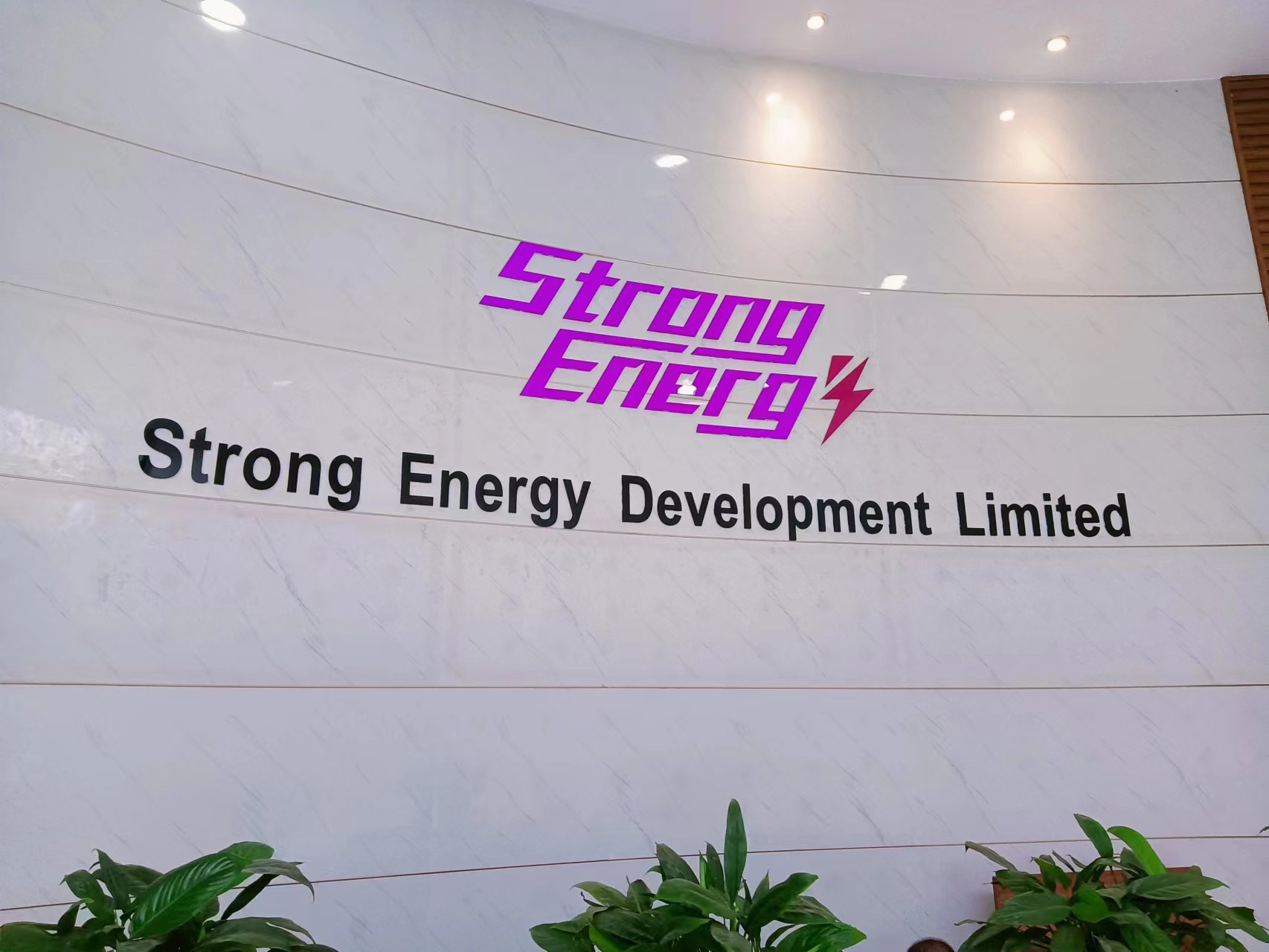 Strong Energy Development Limited Rabbit Vibrator