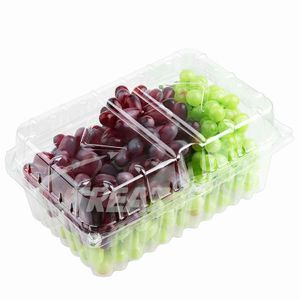 Custom Kiwi Peach Lemon Fresh Fruit Export Packaging Boxes Transparent Clear Avocado Packing Plastic Box Wholesale